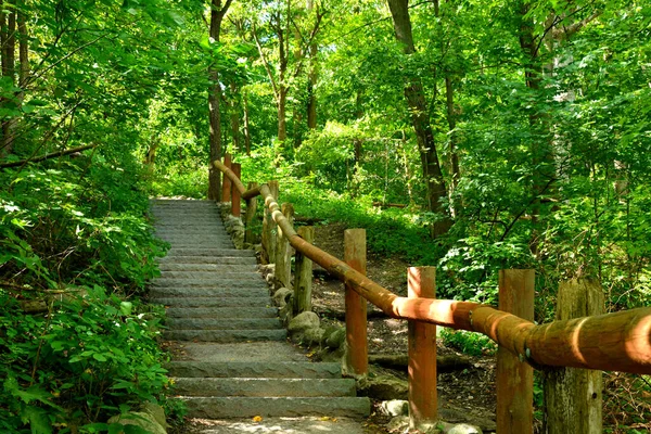 Looking Upward Top Long Tall Outdoor Stairway Large Wooden Guardrails — Stock Photo, Image