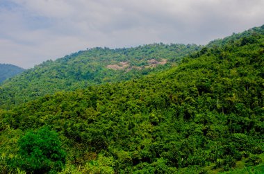 Dağları olan güzel bir manzara