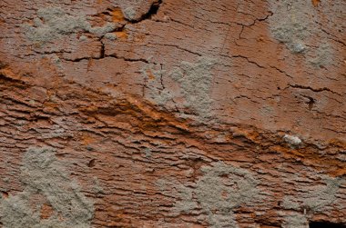 kirli eski tuğla doku