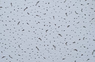 Işık Alçıpan doku makro