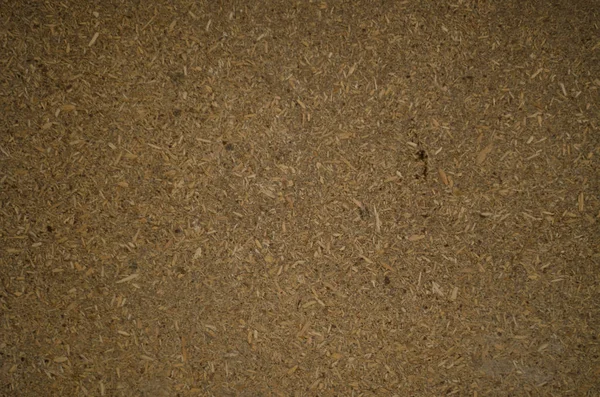 Brązowy drewno tekstura makro tło — Zdjęcie stockowe