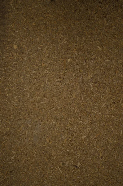 Brązowy drewno tekstura makro tło — Zdjęcie stockowe