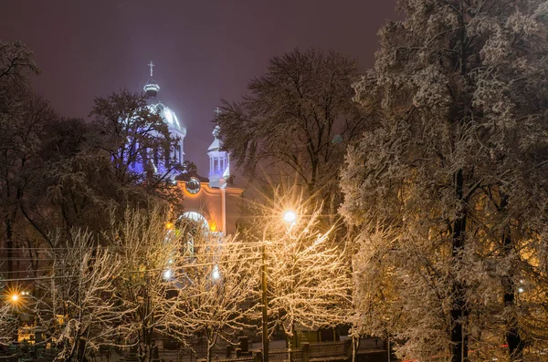 ağaçların arasında bir kilise karla kaplı