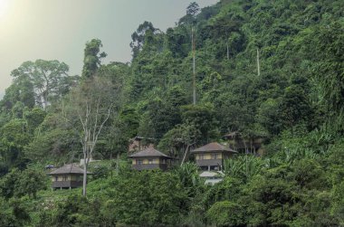 Tayland ormanlarında bir köyde