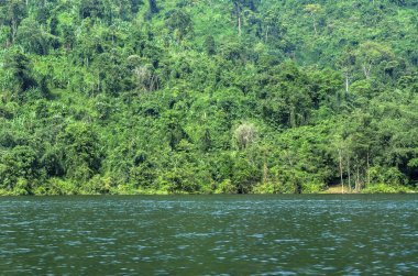 Tayland jungle bir göl