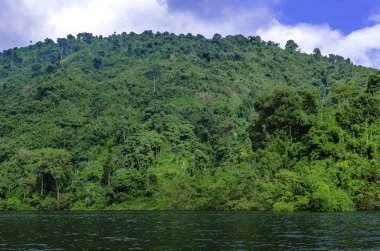 Tayland jungle bir göl
