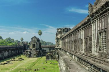 Angkor Tapınağı binalarda