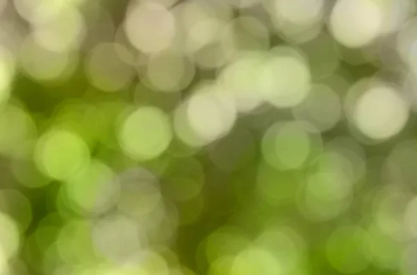 明亮的绿色景 — 图库照片