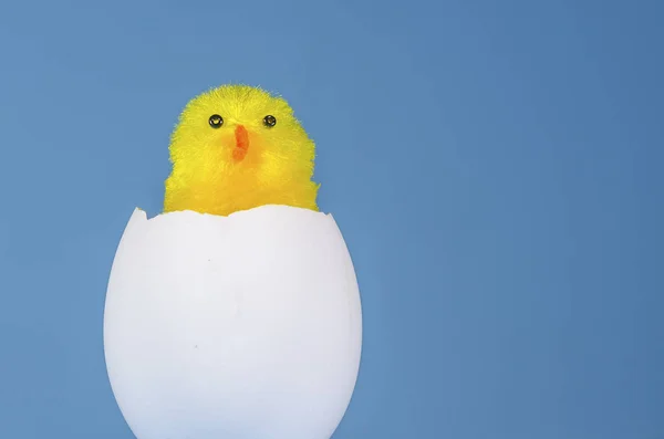 Kleines Spielzeug gelbes Küken in der Eierschale — Stockfoto