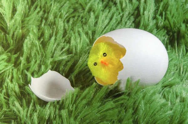 玩具鸡孵蛋 — 图库照片