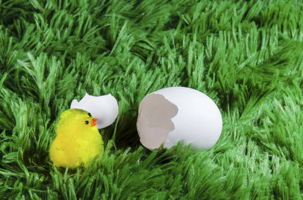 toy chicken hatching from an egg