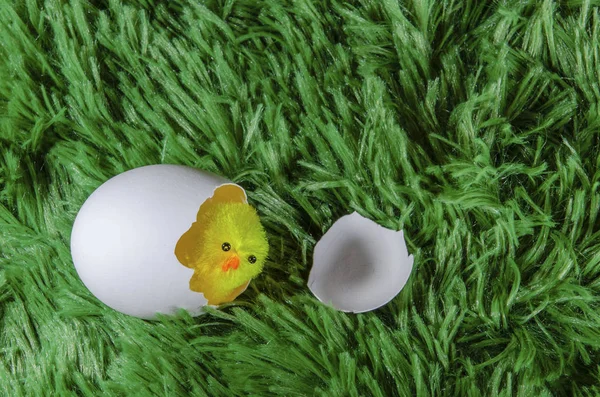 toy chicken hatching from an egg