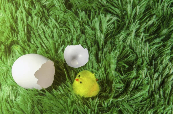 toy chicken hatching from an egg