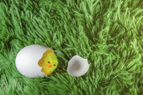 玩具鸡孵蛋 — 图库照片