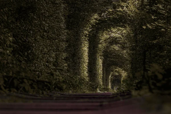 Maravilla de la Naturaleza. Túnel de Amor, árboles verdes y el ferrocarril — Foto de Stock