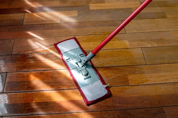 A mop washing a wooden floor in an apartment. Concept of care for the cleanliness of the apartment. Mopping the floor