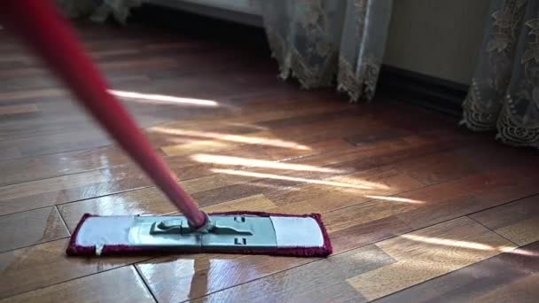 Una Fregona Lavando Piso Madera Apartamento Concepto Cuidado Para Limpieza — Vídeo de stock