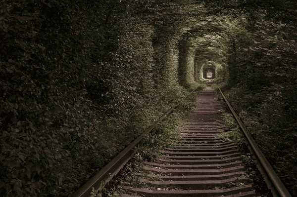 Wonder Nature Tunnel Love Green Trees Railroad — Stock Photo, Image