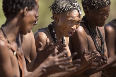 San Bushmen gösteren geleneksel dans