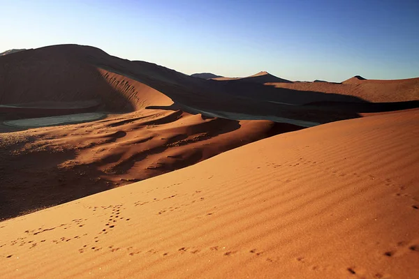 Paisagem duna areia — Fotografia de Stock