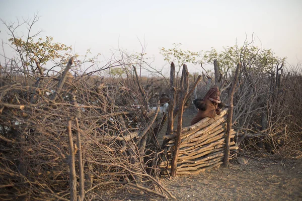 Himba chlapce v obci — Stock fotografie