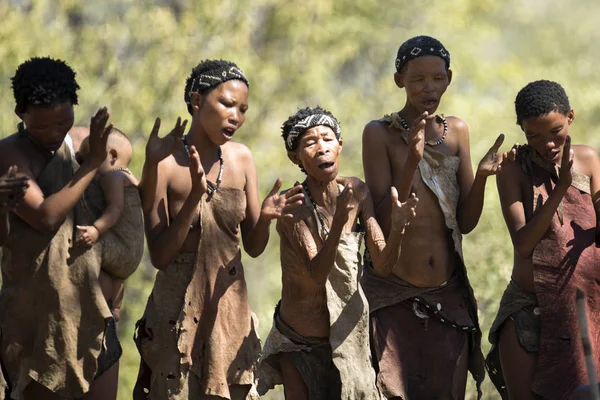 San Bushmen gösteren geleneksel dans Stok Resim