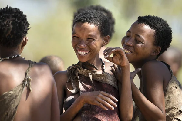 San Bushmen mendemonstrasikan tarian tradisional Stok Gambar Bebas Royalti