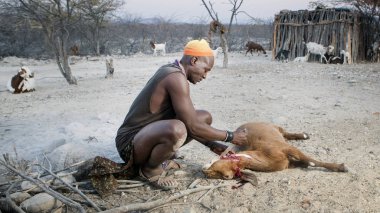 Himba adam keçi kadar keser