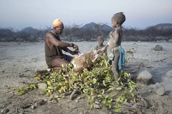 Himba man zerschneidet Ziege — Stockfoto
