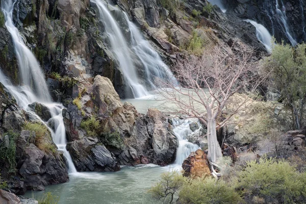 Albero sta vicino alla cascata — Foto Stock