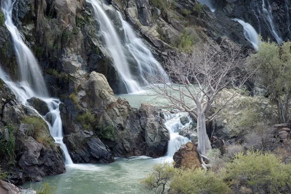 Arbres près d'une cascade — Photo