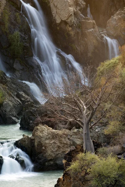 Tree stands by waterfall — Stock Photo, Image