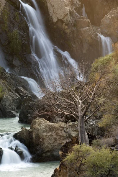 Boom staat door waterfall — Stockfoto