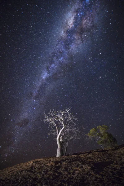 Beautiful milky way — Stock Photo, Image