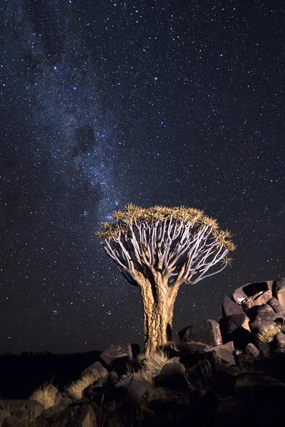 Güzel Samanyolu — Stok fotoğraf