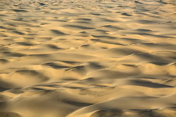 Sanddynlandskap — Stockfoto