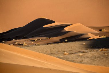 sand dune landscape clipart