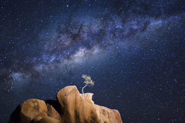 Beautiful milky way — Stock Photo, Image