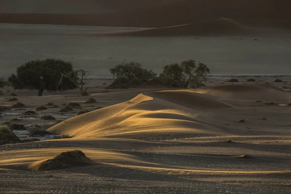 Пейзаж песчаной дюны — стоковое фото