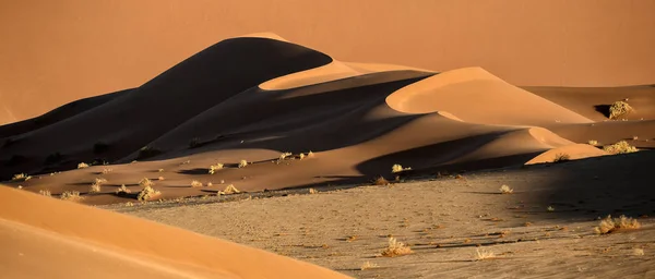 Paisaje de dunas de arena — Foto de Stock