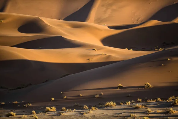 Paisaje de dunas de arena —  Fotos de Stock