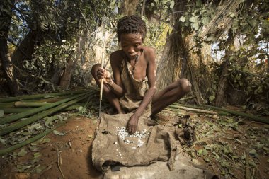 San yangın Başlarken Bushmen