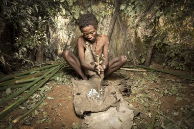 San Bushmen wowan yangın Başlarken