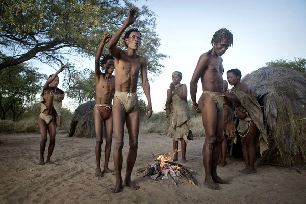 San Bushmen demuestra danza tradicional Imagen De Stock