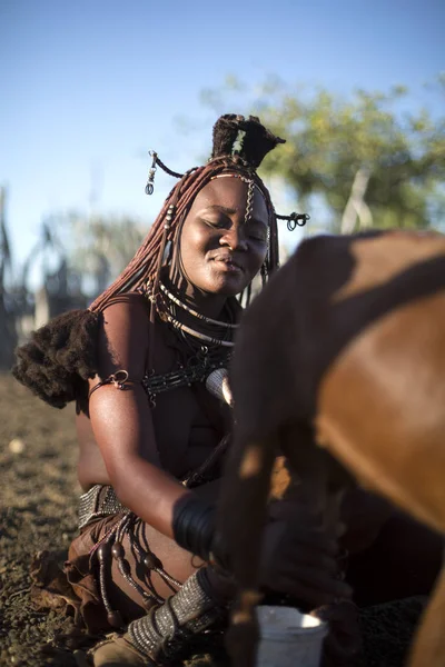 Vrouw in traditionele kleding melk geit — Stockfoto