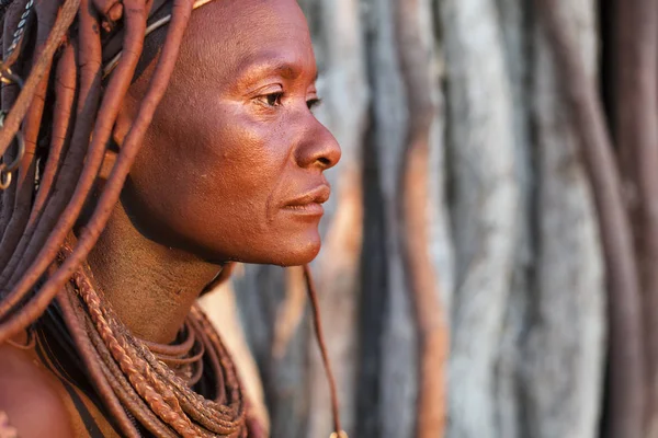 Himba жінка позах у своє село — стокове фото