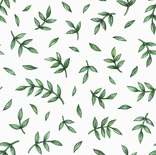 Akvarel Ručně Kreslený Bezešvý Vzor Zelenými Listy Izolovanými Bílém Pozadí — Stock fotografie