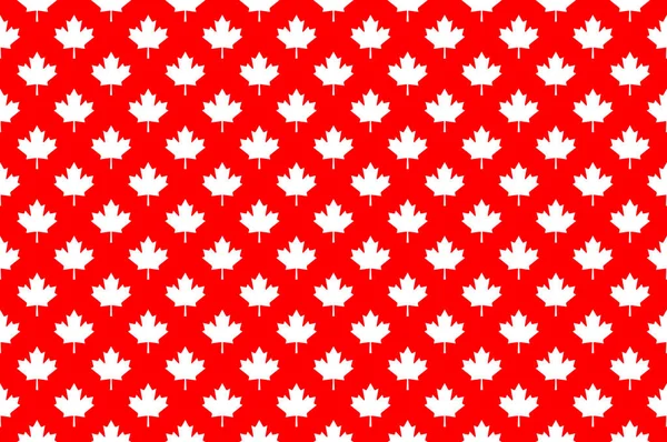 Red maple canada seamless pattern. — Stock Vector