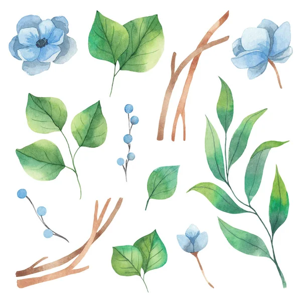 緑の葉と青のイソギンチャクの花から花要素の春の水彩セット 白い背景に隔離された水彩の要素 — ストック写真