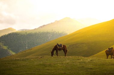 Kazakistan doğa ve insan